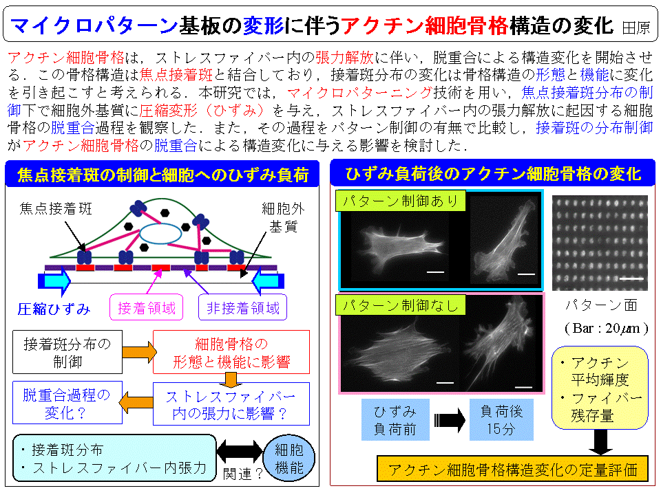 京都大学工学研究科適応材料力学研究室